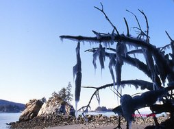 Camel Rock, Seldovia Bay, Alaska