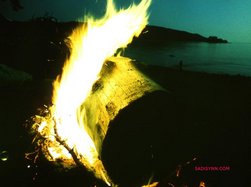 Infra-red photo of beach fire