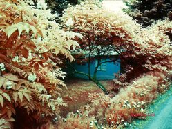 Infrared Ektachrome Slide Photo of Jake Booth's Haus in Seldovia Alaska
