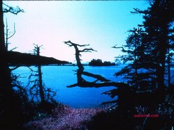 Infrared Ektachrome of Seldovia Bay