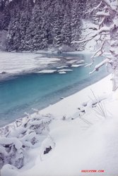 Jakolof Bay, winter 1988