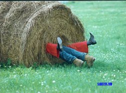 Roll in the Hay, by Art at Trapper Creek