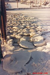 Ice in Seldovia Harbour