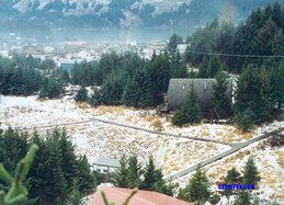 Swamptroll Toll-free Strollway by Sadisynn 1995